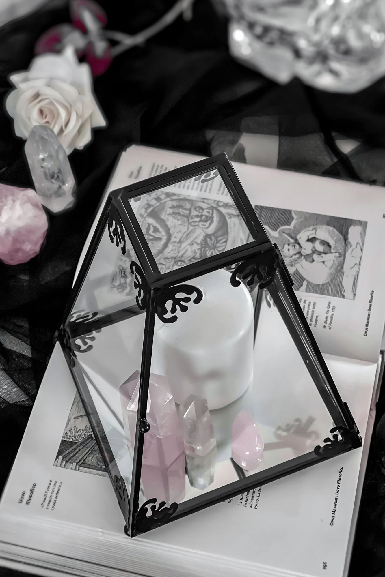 Nova Glass Display Case - Image 4