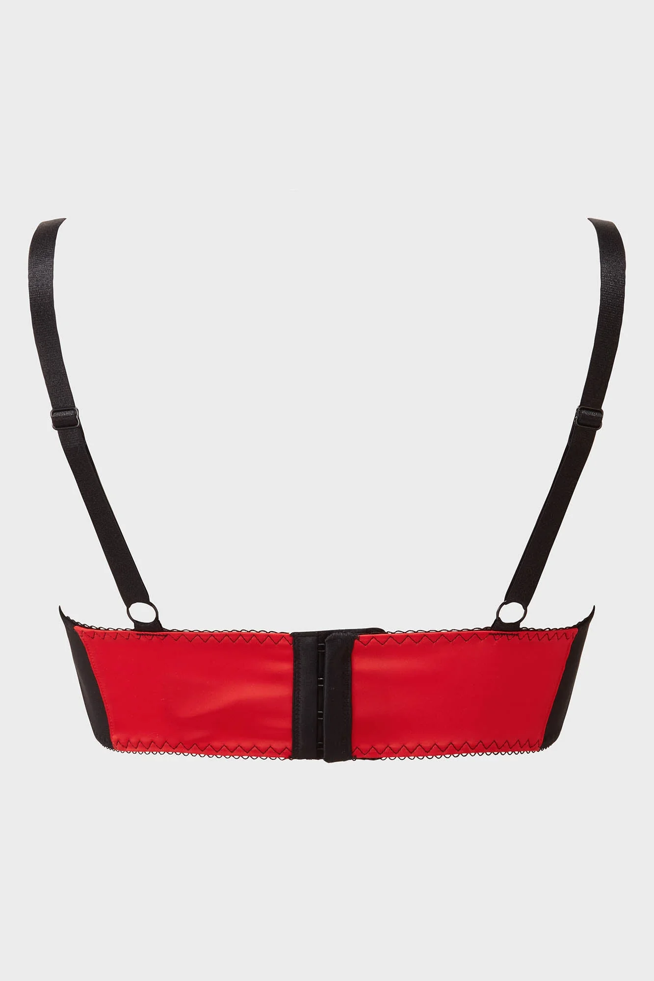 Scarlet Webutant Bullet Bra - Image 6